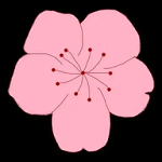 双鱼live直播APP应用