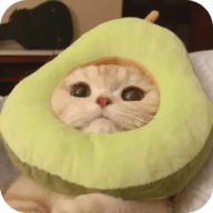 橘子直播间官方版APP应用